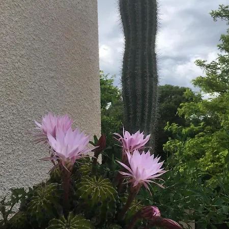 L'escampe Panzió 3*