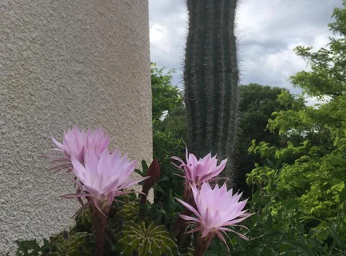 L'escampe فندق مبيت وإفطار 3*